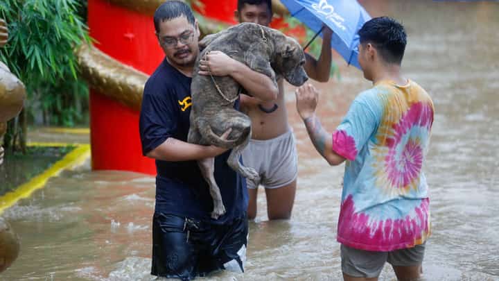 A Metro Manila resident makes sure his pet evacuates with him amid floods and rain.